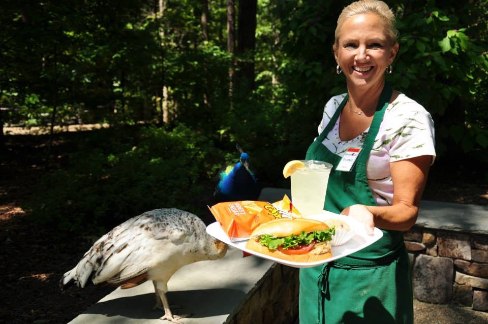 Tammie serving food at Chipmunk Cafe with a peacock nearby, Garvan Woodland Gardens
